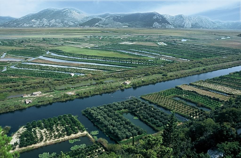 Worldwide freight services